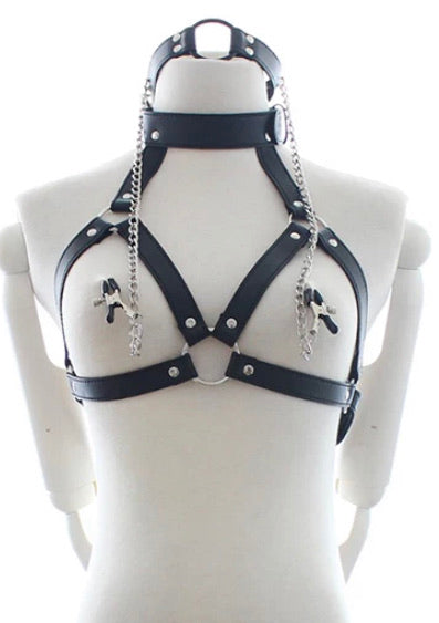 Mouth Gag and nipple Clamps with Harness